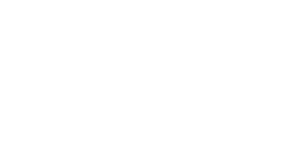 SEO Savvy Lawyer logo